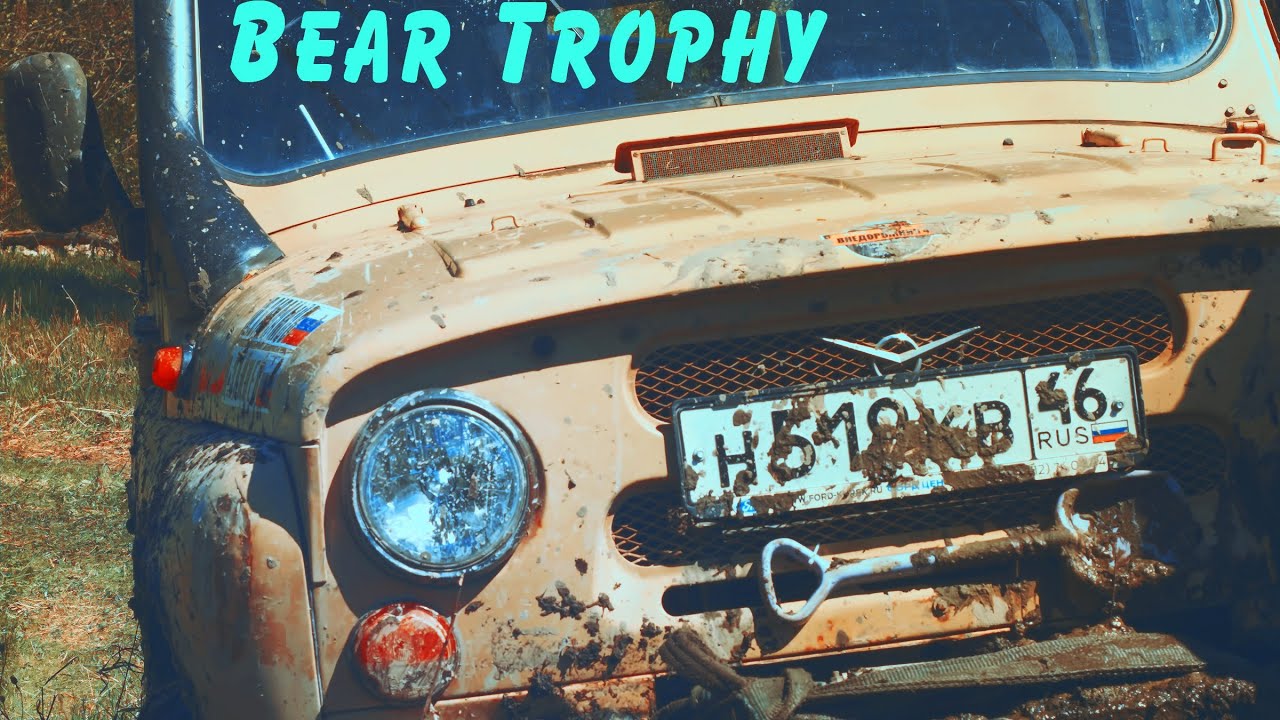 Медведь трофи Курск 2014 - YouTube