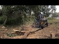 SHE'S A BEAST! MTL XCT Mulching A HUGE Rotten Tree & Bush Hogging