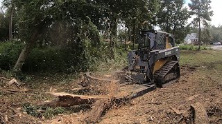 SHE'S A BEAST! MTL XCT Mulching A HUGE Rotten Tree & Bush Hogging