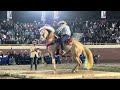 🐴 CABALLOS BAILADORES 🎡 FERIA GANADERA DE CULIACÁN 💯