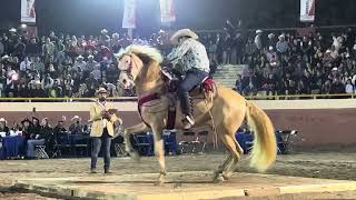 🐴 CABALLOS BAILADORES 🎡 FERIA GANADERA DE CULIACÁN 💯