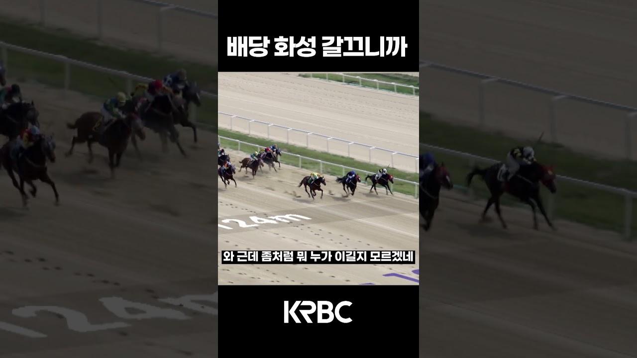 화성 갈끄니까ㅏㅏ #shorts #경마방송 #기수 #경주마 #경마 #KoreaHorseRacing