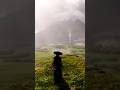 Beauty is in every corner Ghost of Yōtei #gamingshorts #gaming #ghostofyotei