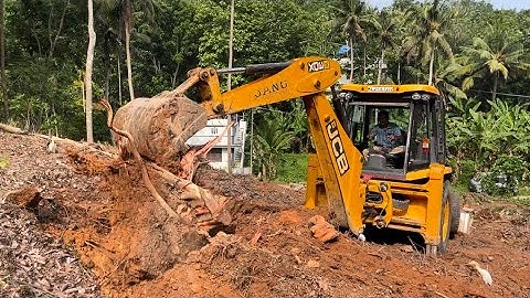 Jcb 3dx pulling out huge tree root #jcb #jcb3dx #jcbbackhoe #jcbpower #jcbstunt #jcbtractor #jcb3cx