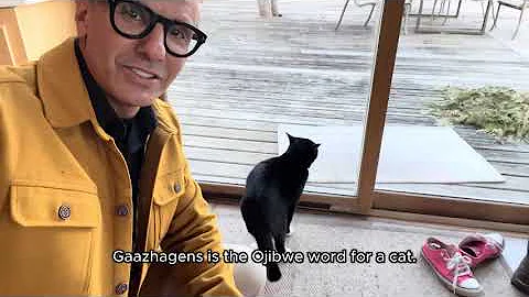 Gaazhagens = Cat (Ojibwe Word of the Day)