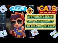 cats| MEET MY LITTLE FRIEND | *GIVEAWAY* crash arena turbo stars