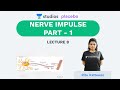 L8: Nerve Impulse Part- 1 | Human Neural System (Pre-medical-NEET/AIIMS) | Ritu Rattewal