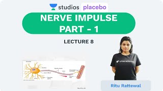 L8: Nerve Impulse Part- 1 | Human Neural System (Pre-medical-NEET/AIIMS) | Ritu Rattewal