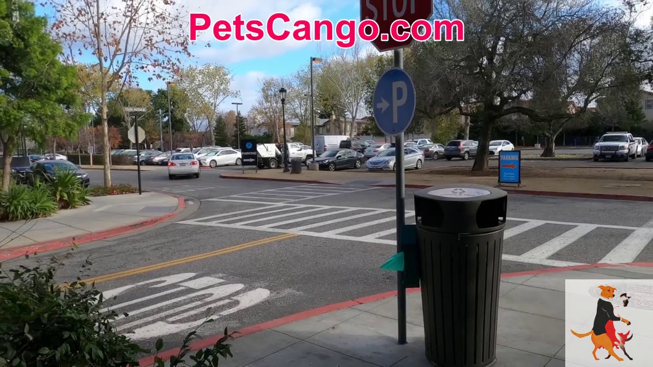 Santana Row petarea Parking YouTube