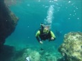 Reef Diving By Boat with Active Blue Dive Team