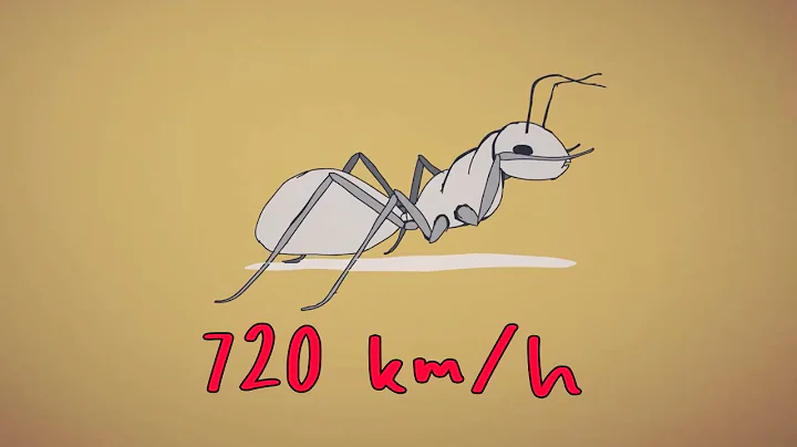 The Fastest Ant In The World