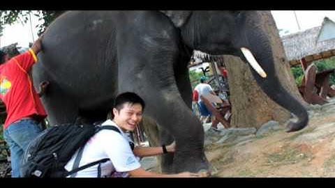 Koh Samui Thailand Ultimate Adventure: Amazing Namuang Safari Park