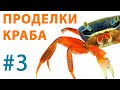 Радужный краб. Неудачная попытка побега из аквариума. Восстанавливаем свет в аквариуме. DIY