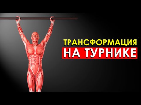 4 Простых Упражнений на Турнике, Которые Трансформируют Ваше Тело Всего за 4 Недели