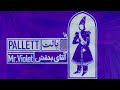 Pallett Mr Violet Album پالت آلبوم آقای بنفش Pallett Mr Violet Album پالت آلبوم آقای بنفش