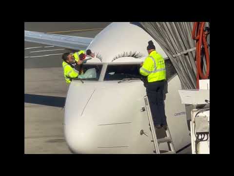 United Airline flight delayed due to False EYELASHES. #Powertrip2022