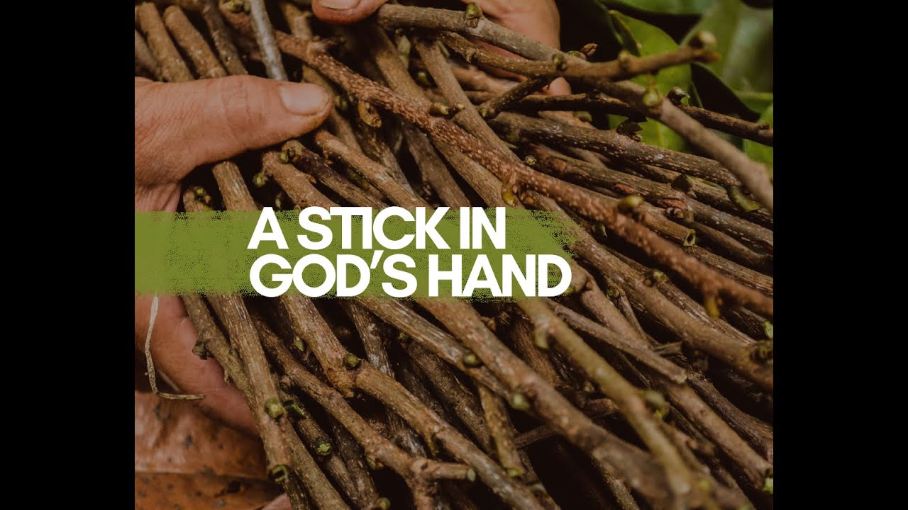 “A STICK IN GOD’S HAND!”