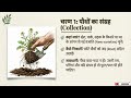 Herbarium File Preparation Step by Step | How to Make Herbarium Specimen for Biology Practical