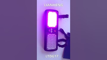 LED Visor Strobe Flashing Lights