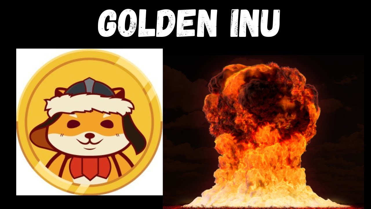 GOLDEN INU REVIEW | SHOULD YOU BUY ?? FIND OUT !! - YouTube