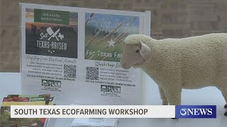 South Texas Eco Farming workshop teaches valuable lessons of water conservation