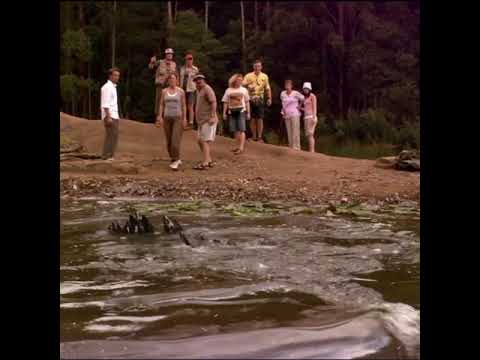 Rogue (2007) | Crocodile Survival Movie
