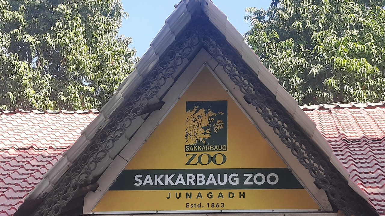 SAKKARBAUG ZOO PARK JUNAGADH GUJARAT YouTube