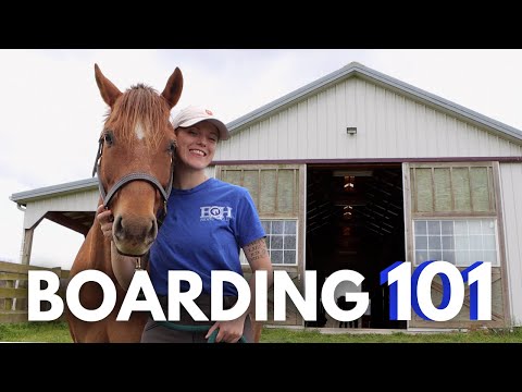 HORSE BOARDING 101: Cost, Types, Common Questions