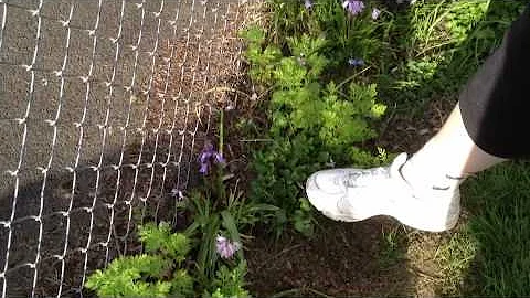 The Garden Tour With Amy Moyer