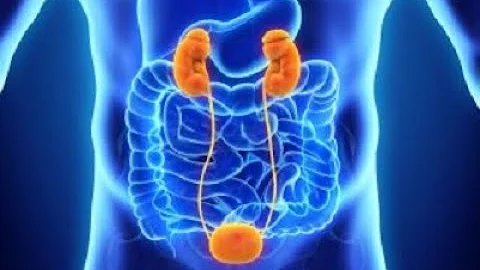 Your bladder following a spinal cord injury - October 29, 2020