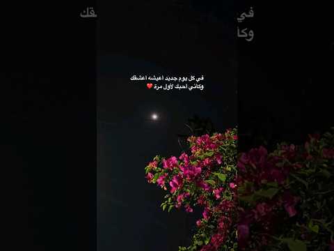 حالات واتس اب حب Like اكسبلور ذواقه اقتباسات عبارات لايك تصميمي 