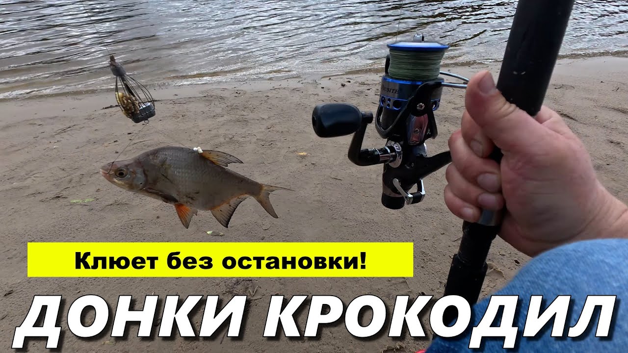 Донки Крокодил - Рыбалка с Берега! Всегда клюет!