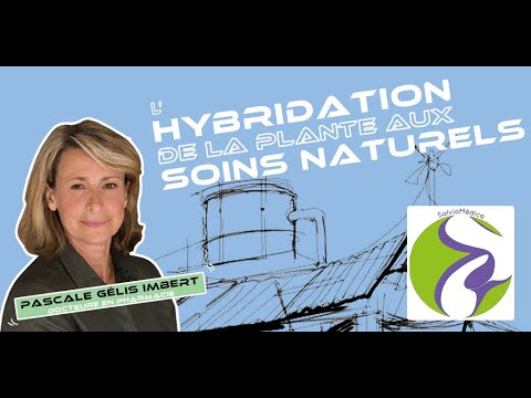 Vidéo: Info sur l'hybridation des plantes - En savoir plus sur l'hybridation des plantes