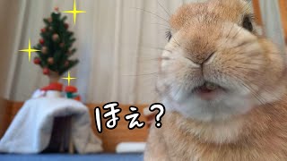 クリスマスツリー？ - YouTube