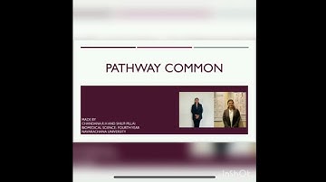 To elucidate interaction of genes involved in various pathways through pathway common software