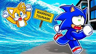 Baby Sonic's Family Escaped THE TSUNAMI..