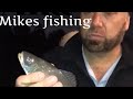 dead bait vs live bait