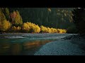 Relaxing Piano Music 🌊 Peaceful River Sounds &amp; Deep Relaxation