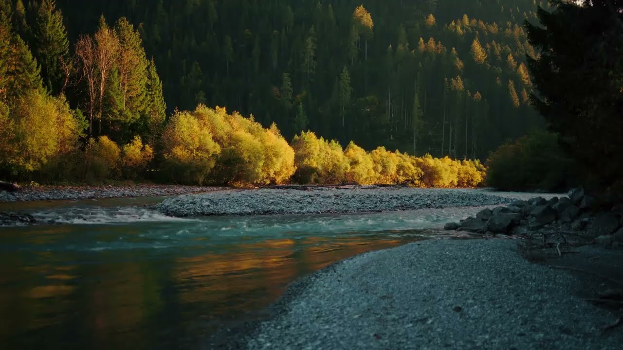 Relaxing Piano Music 🌊 Peaceful River Sounds & Deep Relaxation
