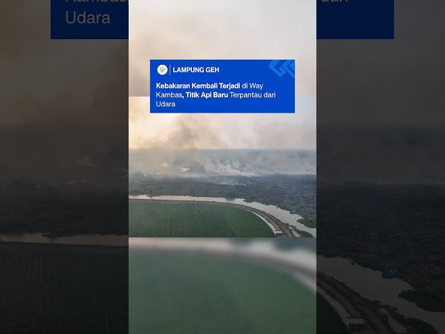 Kebakaran kembali terjadi di kawasan Taman Nasional Way Kambas (TNWK), Lampung Timur.
