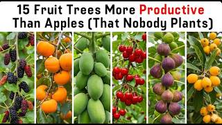 15 Fruit Trees More Productive Than Apple (that nobody plants), Zero Management