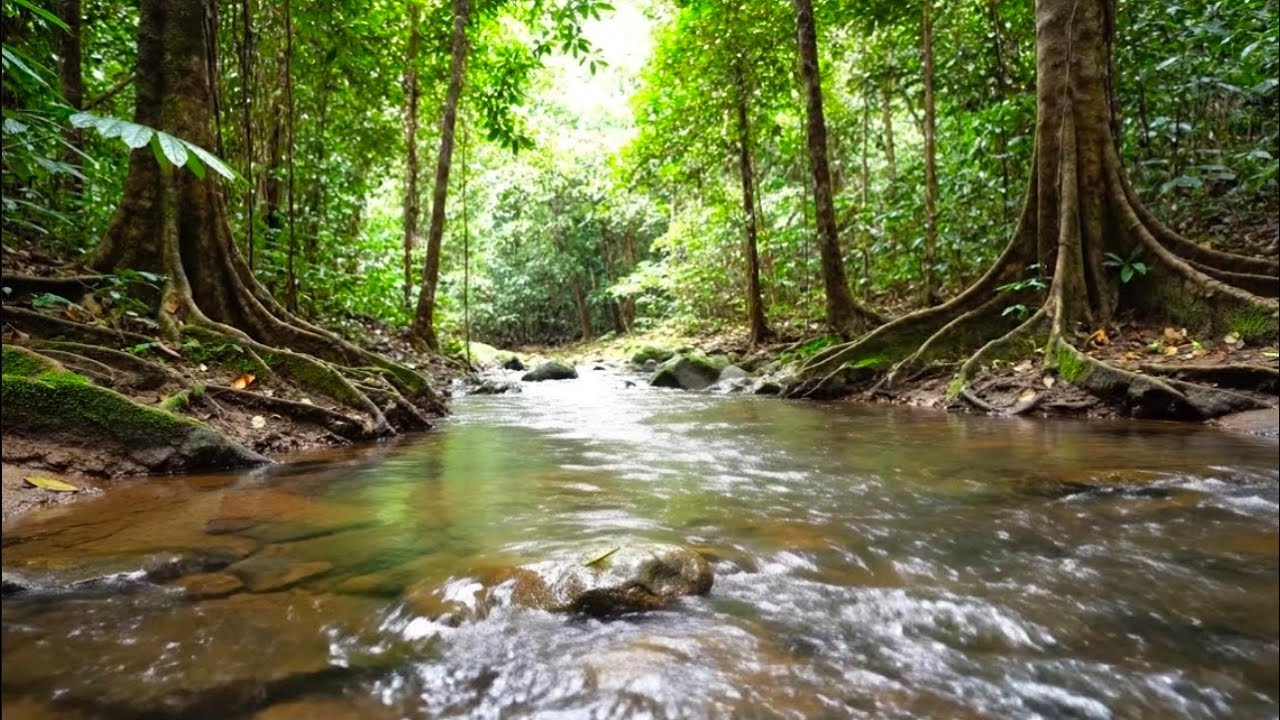 Peaceful River Nature Sounds | Relaxing Flowing Water Ambience for Deep Sleep, Focus & Stress Relief
