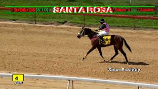 Arima Race Club - Day 7 June 19th 2026 Race -4
