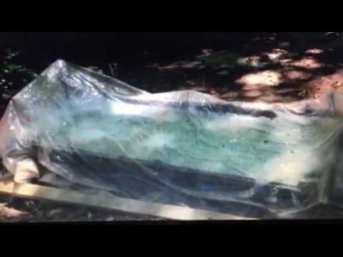 შაორი 2016