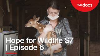 Catch and Release | Episode 6 | Hope for Wildlife S7 | TVO Docs