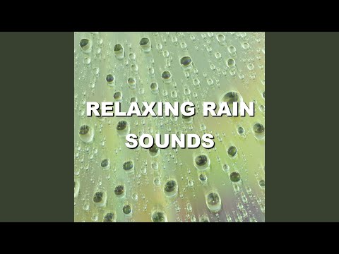 Enjoyable Sunrise Rain Shower Sounds