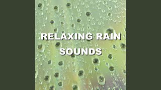 Enjoyable Sunrise Rain Shower Sounds