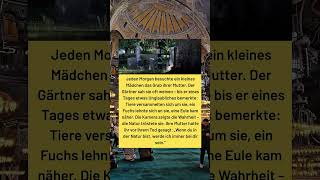 🥹 Jeden Morgen besuchte sie das Grab ihrer Mutter – Was dann geschah, berührt Millionen Herzen ❤️ 🥹 Jeden Morgen besuchte sie das Grab ihrer Mutter – Was dann geschah, berührt Millionen Herzen ❤️