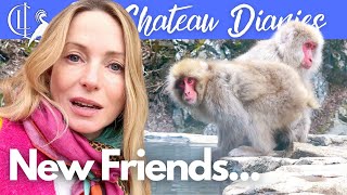 Japanese Mountain Adventure: Meet the Snow Monkeys! 🐒