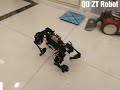 quadruped robot dog